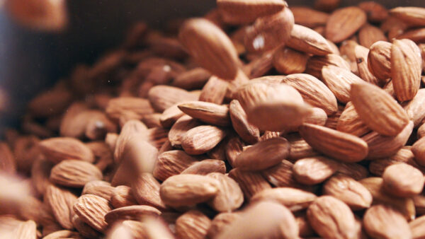 Premium Almonds – Fresh, Crunchy & Nutrient-Rich - Image 2